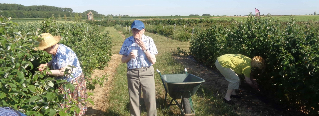 Sortie à la cueillette « chapeau de paille »