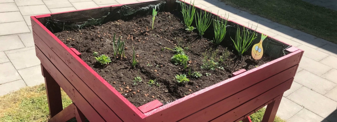 Remise en beauté des carrés potagers